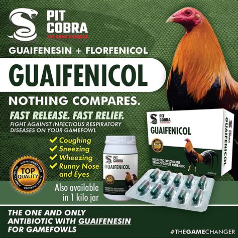 gamefowl services|Treatments – gamefowlsupplement.com.